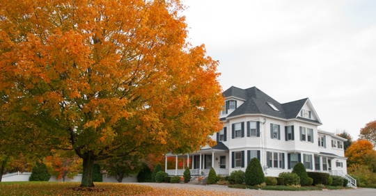 Fall season